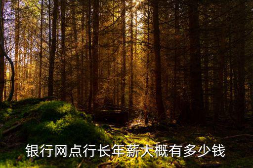 江蘇農(nóng)商銀行支行行長年薪多少錢,每月拿多少錢