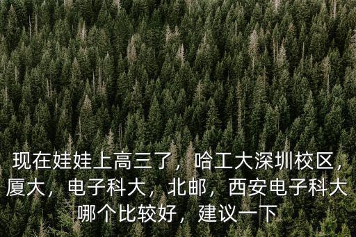 成都怎么看電子科大深圳校區,哈工大深圳校區