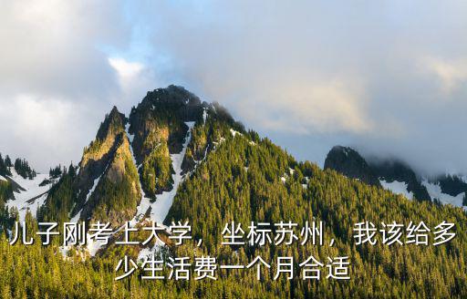 兒子剛考上大學(xué)，坐標(biāo)蘇州，我該給多少生活費(fèi)一個(gè)月合適