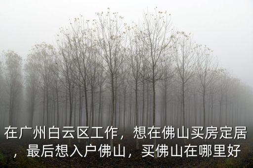在廣州白云區(qū)工作，想在佛山買房定居，最后想入戶佛山，買佛山在哪里好