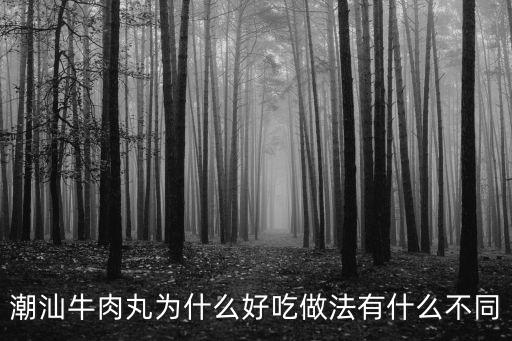 潮汕牛肉丸為什么好吃做法有什么不同