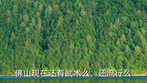 佛山南派武術怎么樣,佛山人為什么愛武術