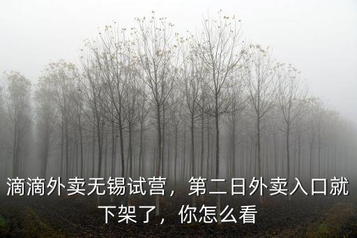 滴滴外賣無錫試營，第二日外賣入口就下架了，你怎么看