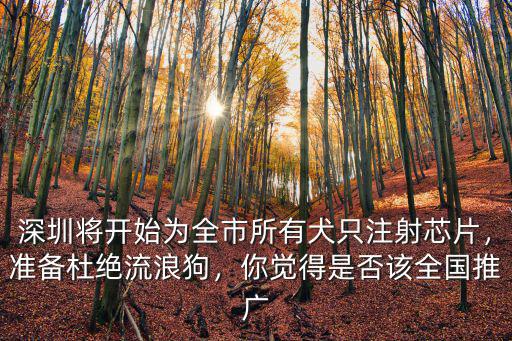 深圳犬只芯片植入在哪里預(yù)約,深圳所有犬只必須植入芯片