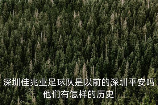深圳佳兆業足球隊是以前的深圳平安嗎他們有怎樣的歷史