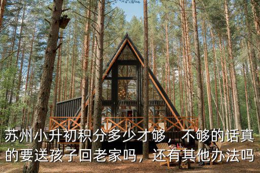 蘇州積分入學積分要多少,蘇州的外地人積分入學容易嗎