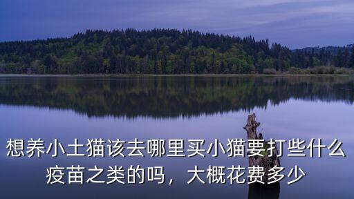 想養(yǎng)小土貓該去哪里買小貓要打些什么疫苗之類的嗎，大概花費多少