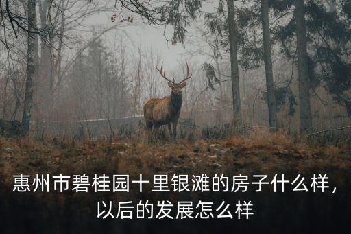 惠州市碧桂園十里銀灘的房子什么樣，以后的發展怎么樣