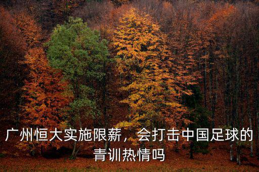 廣州恒大實施限薪，會打擊中國足球的青訓熱情嗎