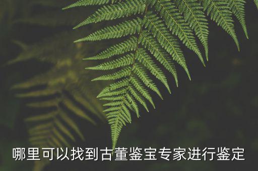哪里可以找到古董鑒寶專家進行鑒定