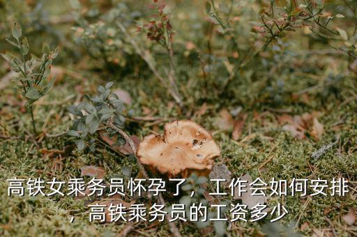 高鐵女乘務員懷孕了，工作會如何安排，高鐵乘務員的工資多少