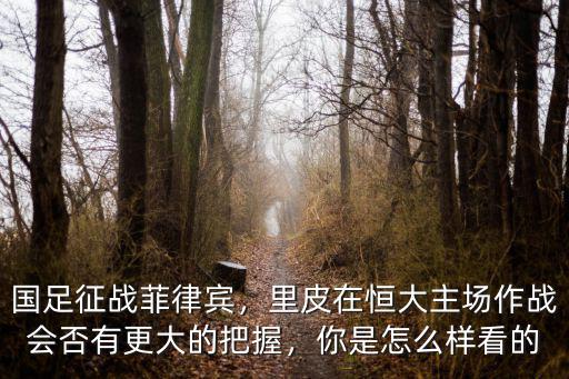 廣州國足主場怎么樣,國足主場設在廣州非里皮喜好