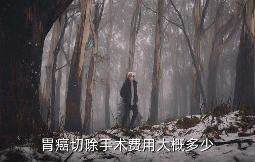 南京鼓樓醫院胃癌切除手術費用多少,胃癌開刀要多少費用