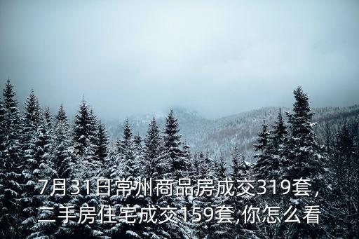 7月31日常州商品房成交319套，二手房住宅成交159套,你怎么看