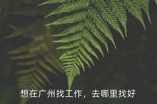 廣州找金融工作去哪里找,下個月準備去廣州找銷售工作