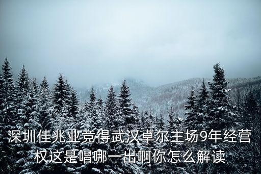 深圳佳兆業(yè)公司在深圳哪里,多納多尼出任深圳佳兆業(yè)主帥
