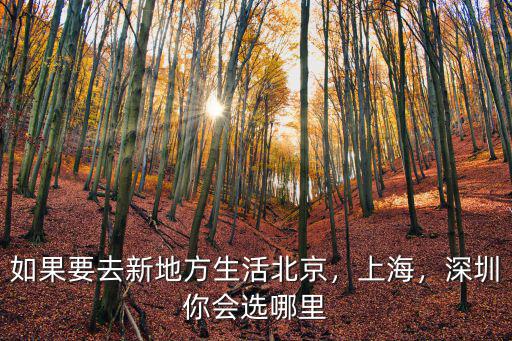 如果要去新地方生活北京，上海，深圳你會選哪里