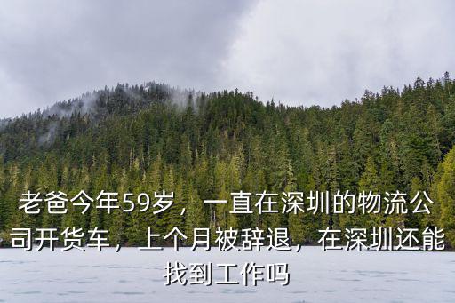 老爸今年59歲，一直在深圳的物流公司開貨車，上個月被辭退，在深圳還能找到工作嗎