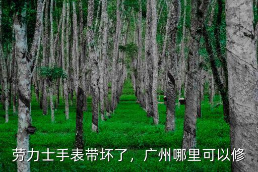 廣州勞力士手表摔碎了怎么辦,勞力士手表帶壞了