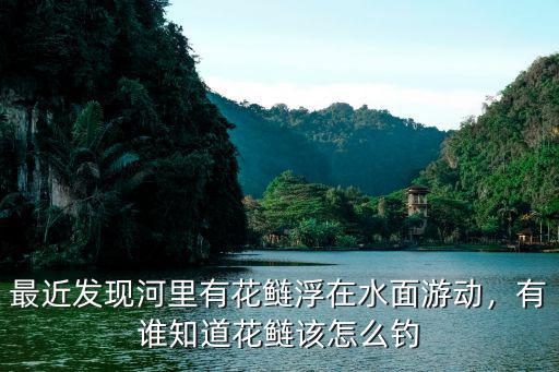 最近發現河里有花鰱浮在水面游動，有誰知道花鰱該怎么釣