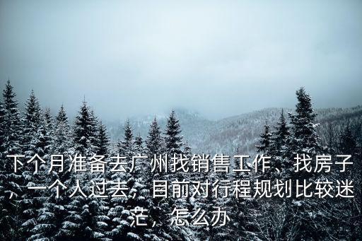 下個月準備去廣州找銷售工作、找房子，一個人過去，目前對行程規劃比較迷茫，怎么辦