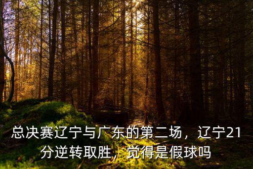 遼寧廣東第五場在哪里,總決賽遼寧與廣東的第二場