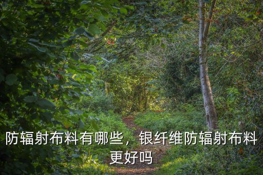 無錫防輻射布料多少錢一米,防輻射布料有哪些