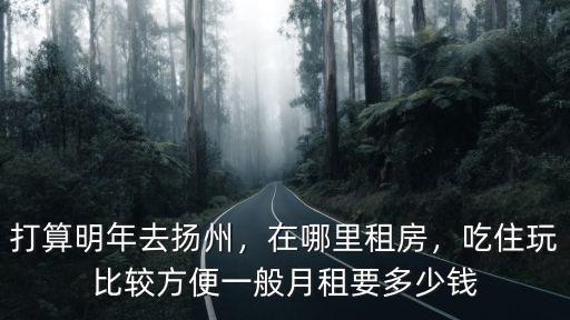 揚州西站租房多少錢一平方,打算明年去揚州