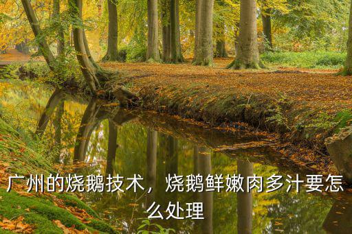 廣州的燒鵝技術(shù)，燒鵝鮮嫩肉多汁要怎么處理