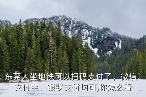 東莞地鐵微信怎么掃碼支付,東莞人坐地鐵可以掃碼支付了