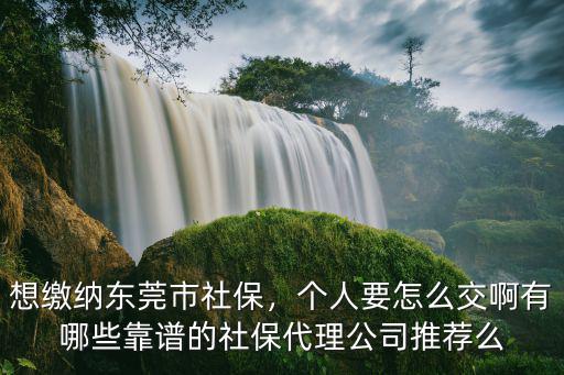 東莞萬江個人怎么買社保,在東莞自己如何買社保