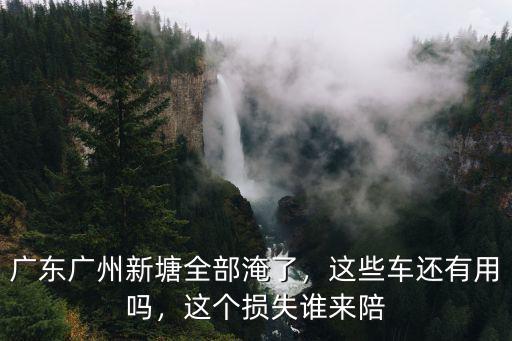 廣州哪里水淹了,廣東廣州新塘全部淹了