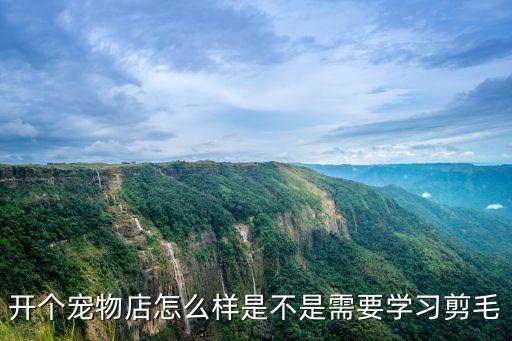 東莞哪里可以學習寵物剪毛,想在東莞學下寵物美容