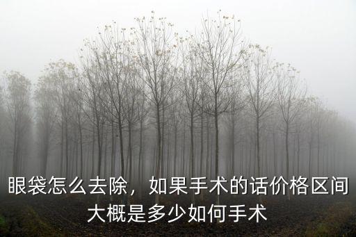 泰州去除眼袋價格多少,激光去眼袋多少錢