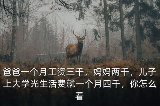 爸爸一個月工資三千，媽媽兩千，兒子上大學光生活費就一個月四千，你怎么看