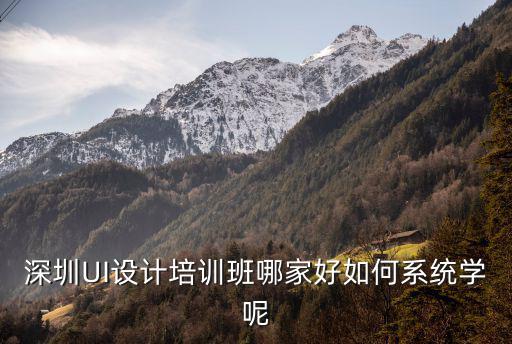 深圳在哪里學(xué)設(shè)計(jì)軟件比較好,深圳UI設(shè)計(jì)培訓(xùn)哪好