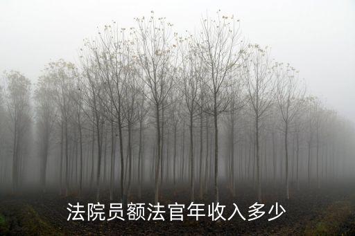 法院?jiǎn)T額法官年收入多少