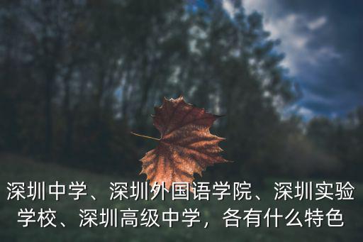 深圳外國語學校怎么上,深圳外國語學院