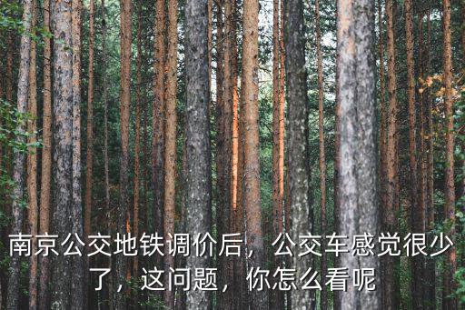 南京地鐵里多少錢一趟,南京公交地鐵調(diào)價后