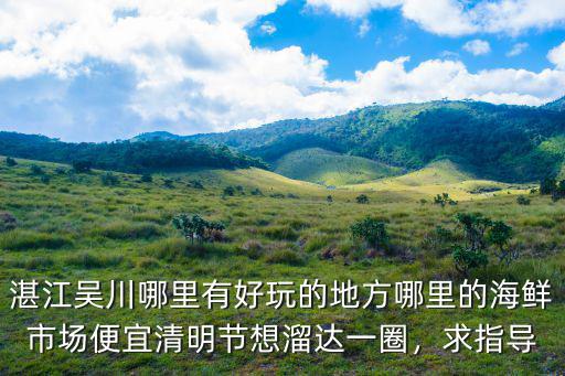 湛江吳川會所哪里好,哪里的海鮮市場便宜