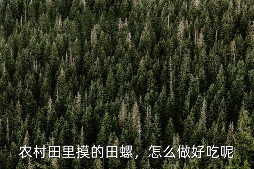 惠州哪里有田螺摸,惠州哪里趕海好玩