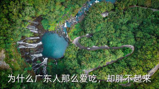 為什么廣東人那么愛吃，卻胖不起來