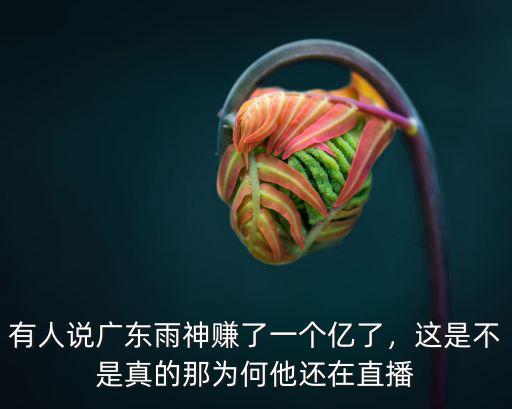 有人說廣東雨神賺了一個億了，這是不是真的那為何他還在直播