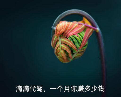 滴滴代駕，一個月你賺多少錢