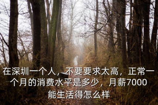 11k在深圳消費水平怎么樣,深圳坂田消費水平怎么樣