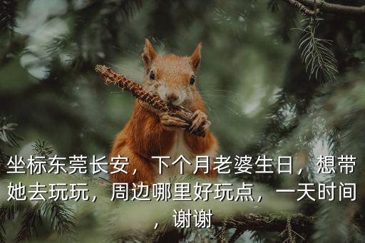 坐標東莞長安，下個月老婆生日，想帶她去玩玩，周邊哪里好玩點，一天時間，謝謝