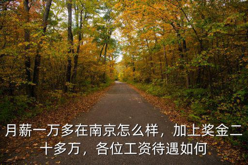 月薪一萬多在南京怎么樣，加上獎金二十多萬，各位工資待遇如何