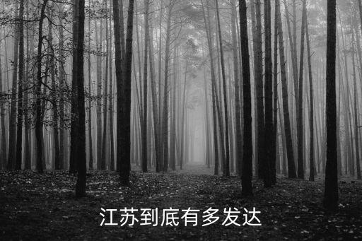 江蘇到底有多發達