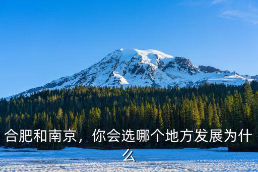 合肥和南京，你會選哪個地方發(fā)展為什么