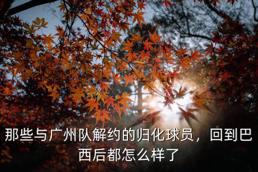 廣州隊(duì)最近怎么樣了,中超廣州隊(duì)限薪60萬(wàn)
